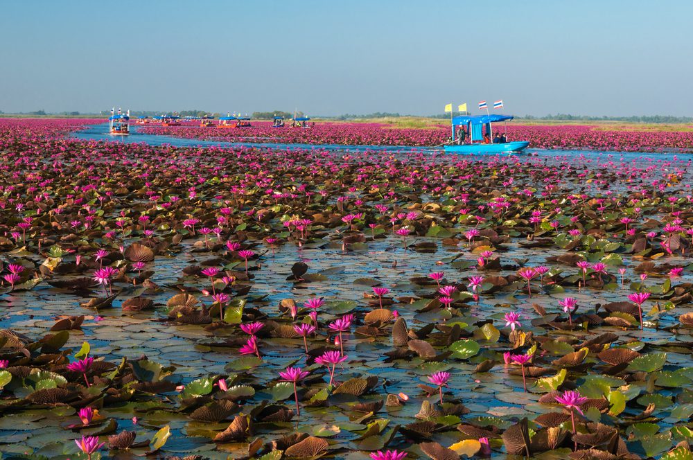 Red Lotus Sea Thailand - Mekong Tourism