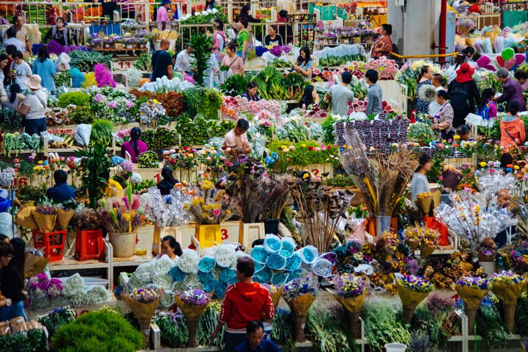 dounan-flower-market-27-May